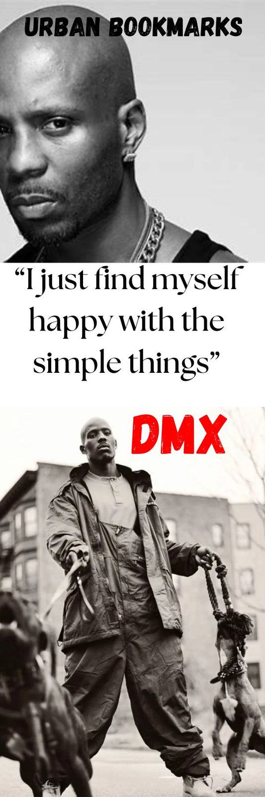 DMX URBAN BOOKMARK